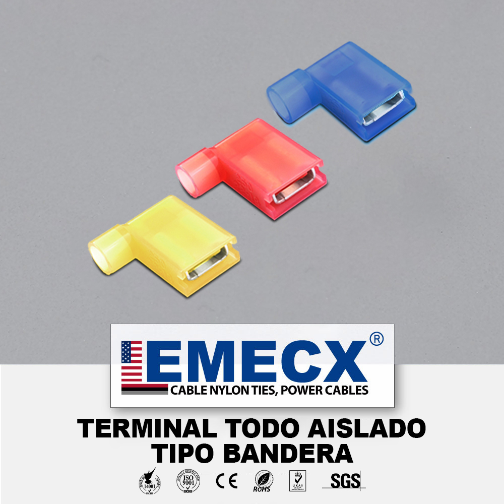 TERMINAL-TODO-AISLADO-TIPO-BANDERA.jpg